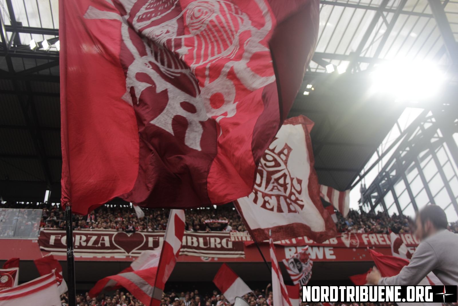 Titelbild 1. FC Köln - SC Freiburg